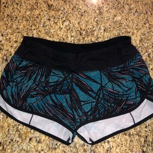 Speed Shorts 2.5”